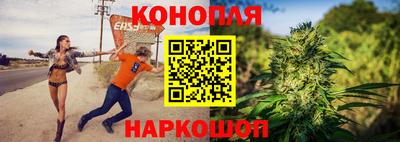 Альфа ПВП Славянск-на-Кубани