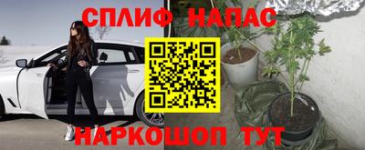 метадон Сланцы